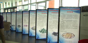 吉林省醫藥健康產業科技成果對接會圓滿落幕，科技中介服務賦能產業創新